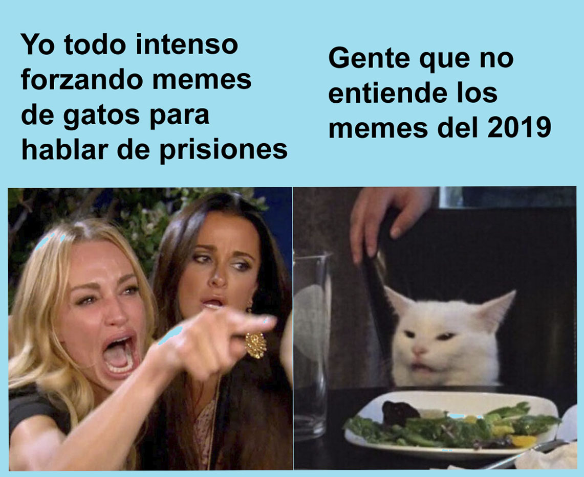 Meme gatito 2