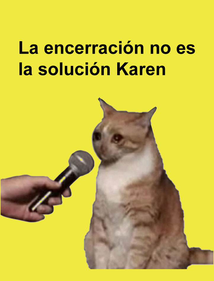 Meme gatito 3: La encerración no es la solución Karen