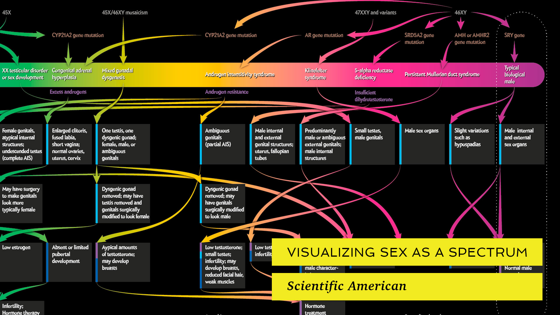 Espectro de la sexualidad