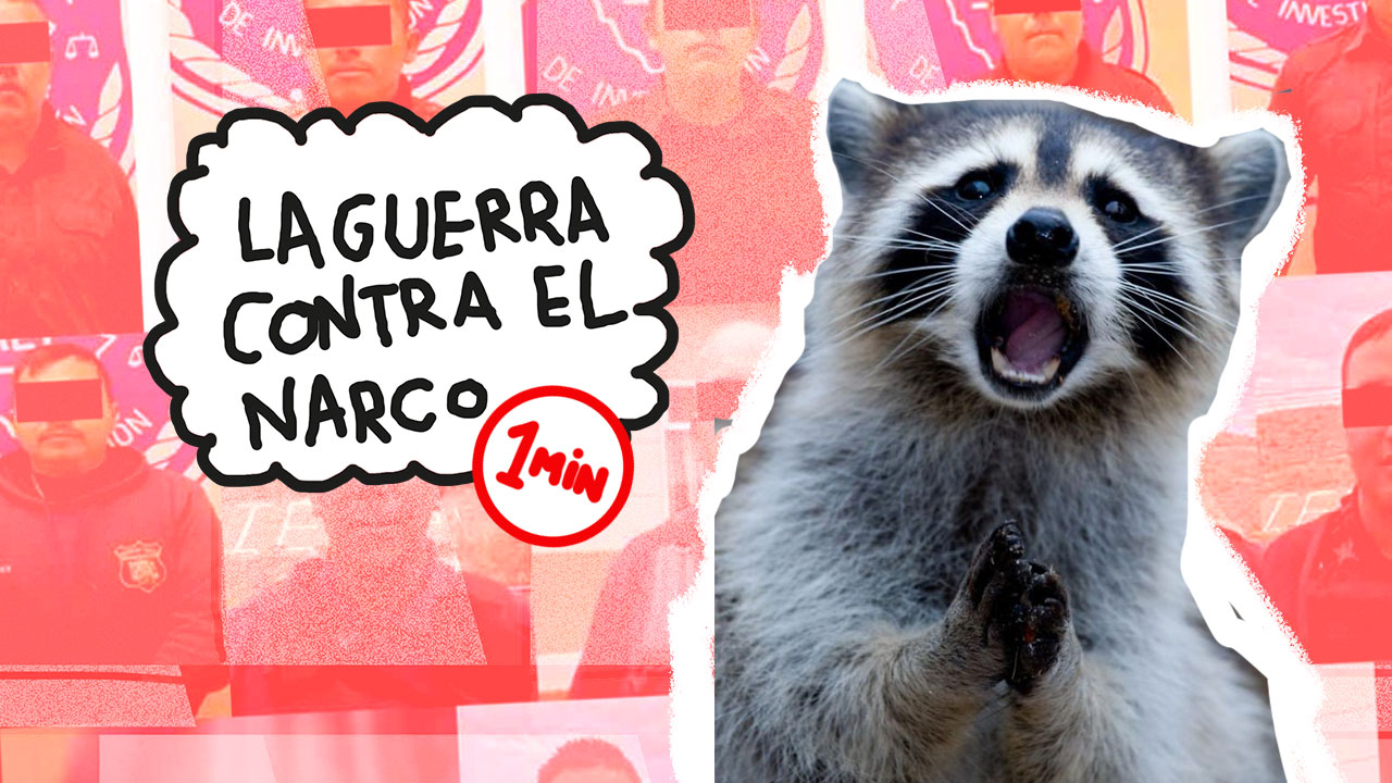 La guerra contra el narco