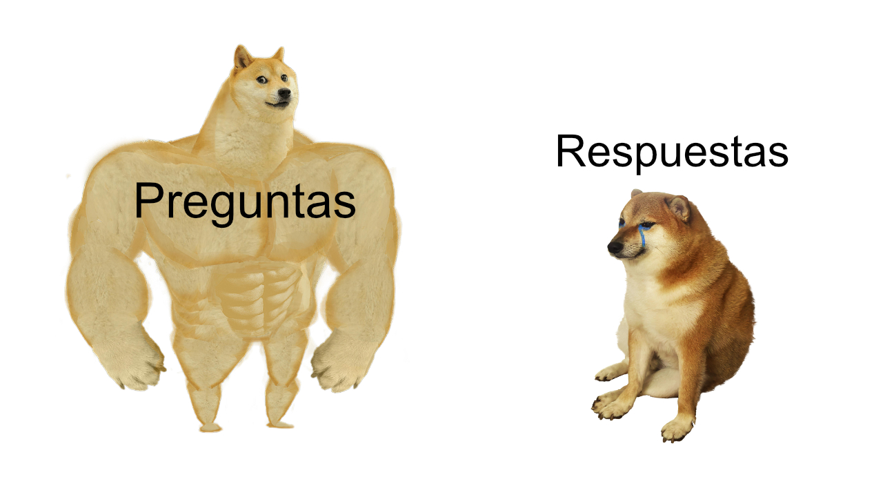 Chinipreguntas y Chinirespuestas
